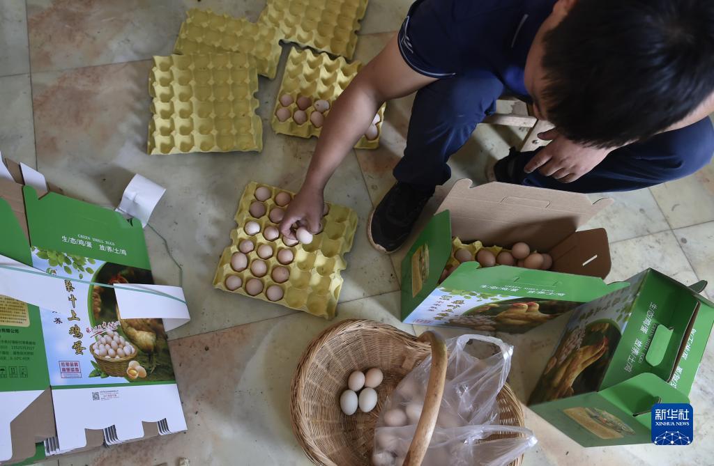 缅甸腾龙娱乐